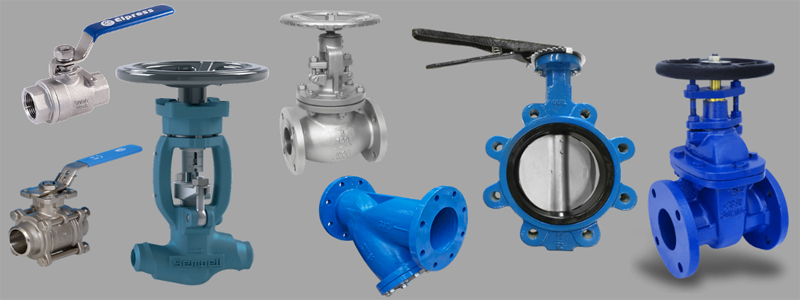 Ball Valves Manufacturers in India