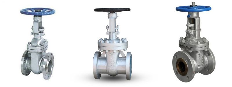Gate Valves Manufacturer in India