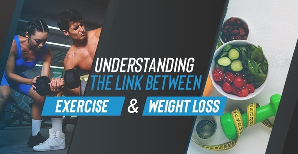 Understanding The Link Between Exercise & Weight Loss