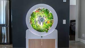 Smart Indoor Garden Market Size, Key Players Analysis And Forecast To 2027 | Value Market Research
