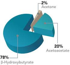 Beta-Hydroxybutyrate Testing Market 2021 Major Key Players and Industry Analysis Till 2027