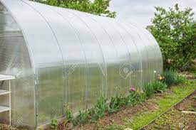Polycarbonate Springs Market Size, In-depth Analysis Report and Global Forecast to 2027