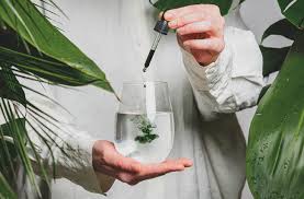 Report on Liquid Nutritional Supplement Market Research 2027 - Value Market Research