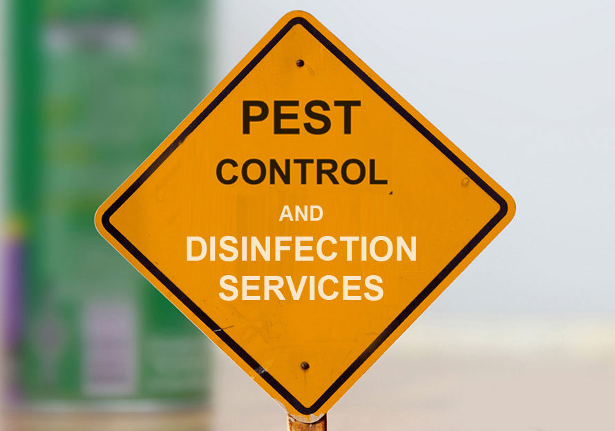 Pest Control Companies Dubai