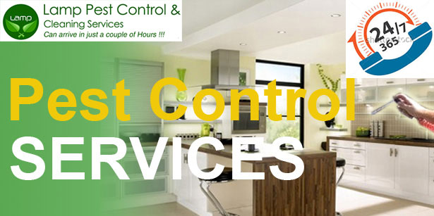 Pest Control’s Importance in the Hospitality Industry