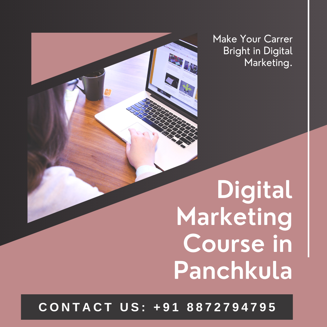 Digital Marketing course in Panchkula