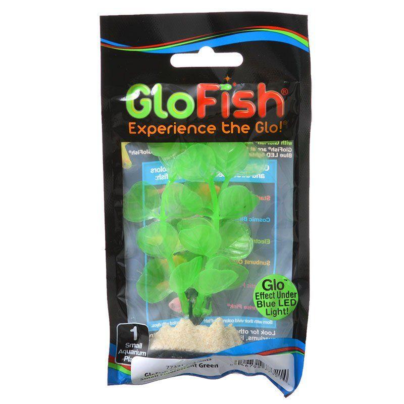 Pet Store Fish Supplies | Fancy Pet Supply