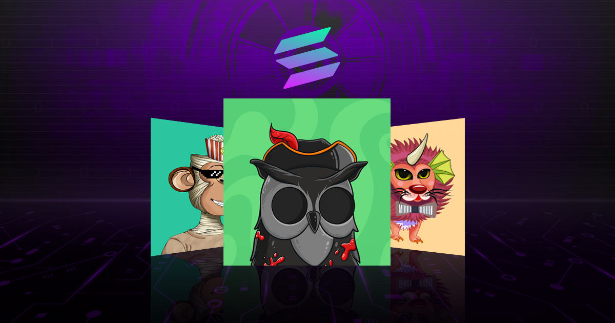 Let me Rest My Case on Solana NFT Marketplace!!!