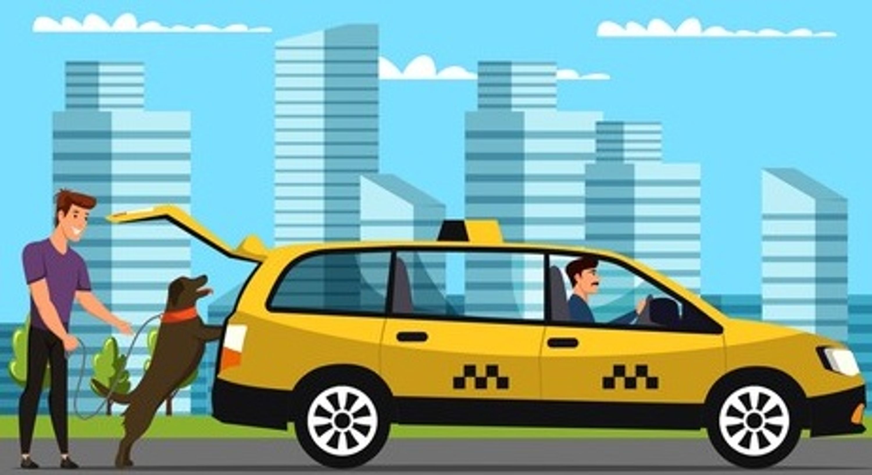 Best Pet Taxi Dubai Service at Low Cost