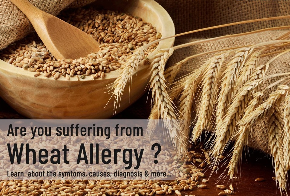 Wheat Allergy - Symptoms, Causes, and Treatment