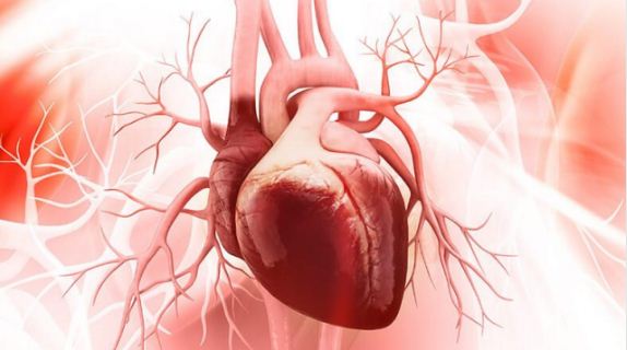 Adult Congenital Heart Disease