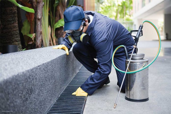 HOW MUCH SHOULD A PEST CONTROL SOLUTIONS COST?