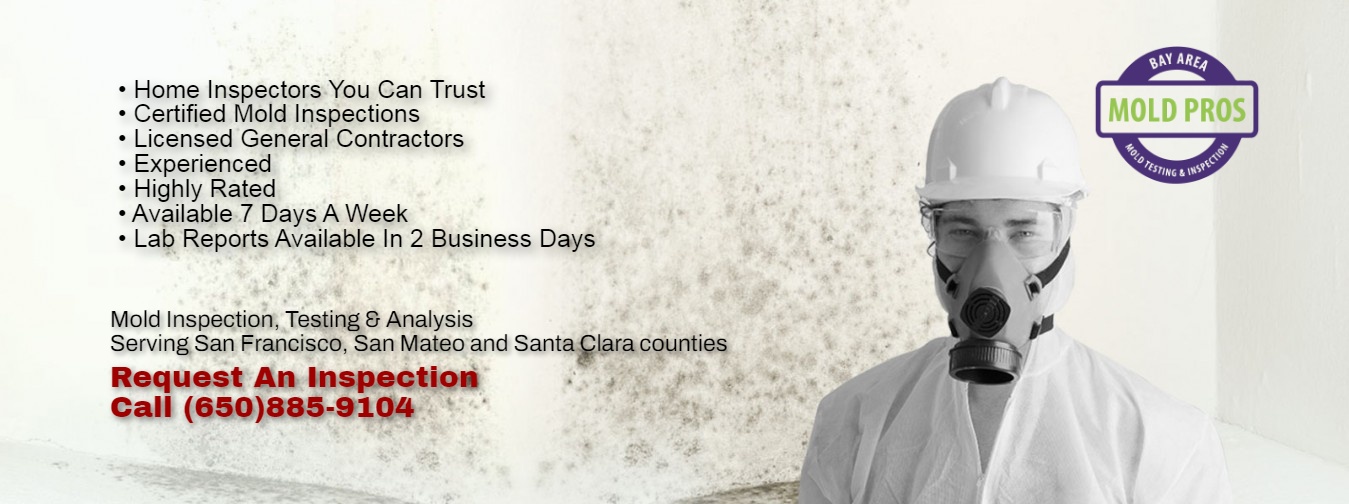 San Francisco Mold Inspection, Testing & Analysis Services