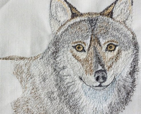 Superior Embroidery Digitizing And Vector Art Services USA Available