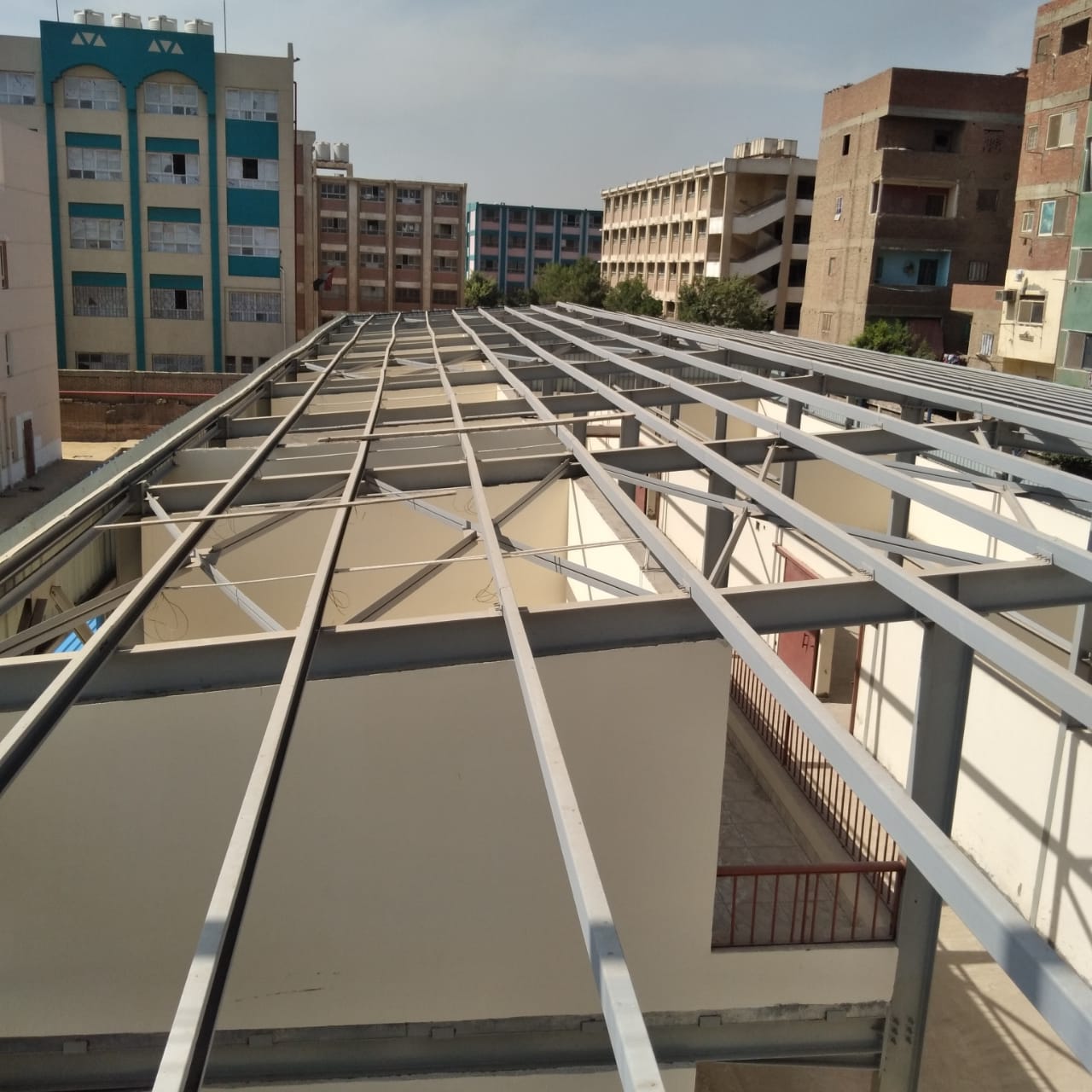 شركة مكافحة حشرات بجدة 