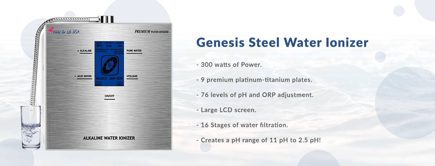 Things you Need to Know Before Buying the Best Water Ionizer