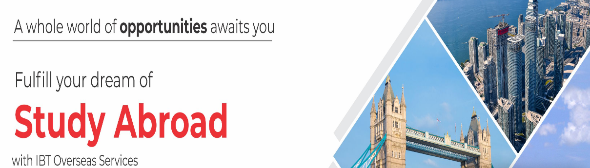 Visa Consultant in Punjab