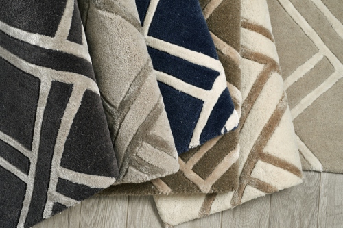 What Are Carpet Reproduction and Its Basic Concepts?
