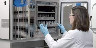 Global Freeze Dryers Market 2022-2028 (Impact of Covid-19) | GEA，Tofflon. etc.