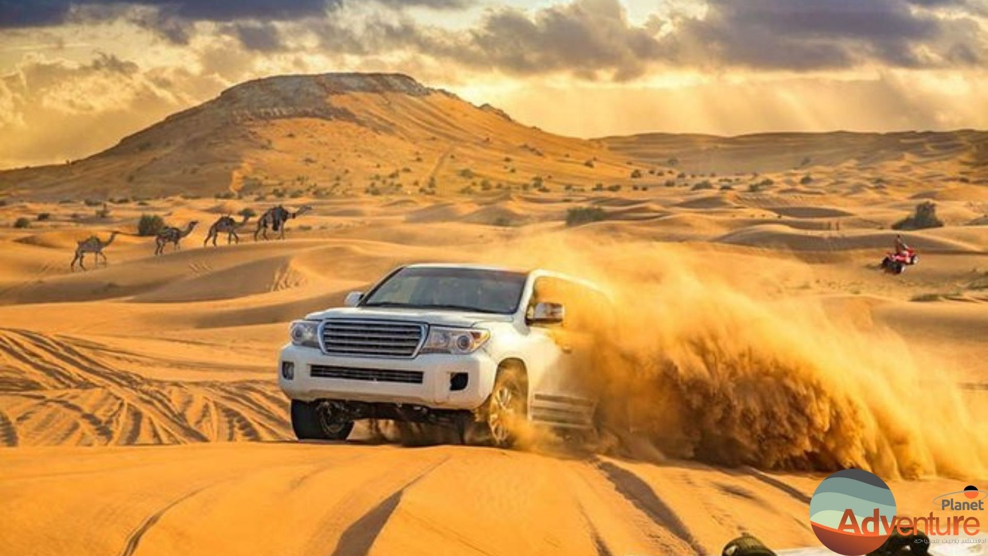 Premium Evening Red Dune Desert Safari (VIP Majlis)