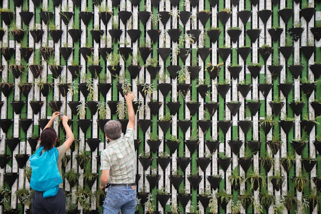 Vertical Garden Ideas for your Home Renovation 2022 Project 
