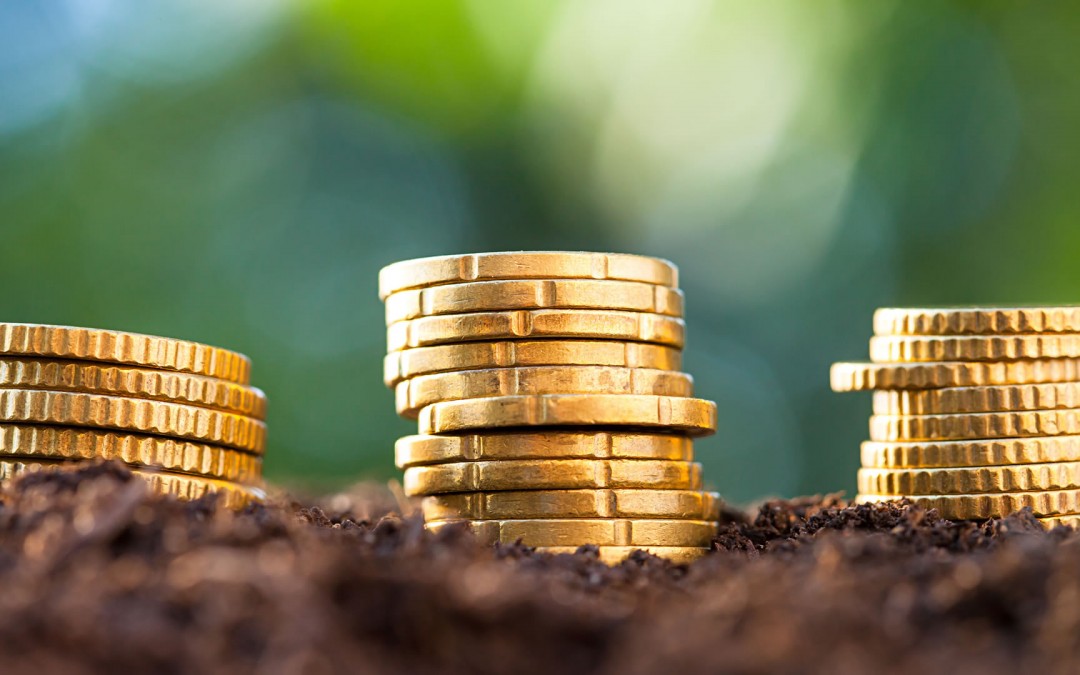 Everything You Need To Know About Sharia Banking