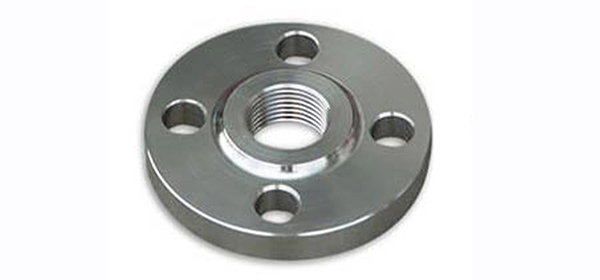 BS Norm Flanges Exporters in India