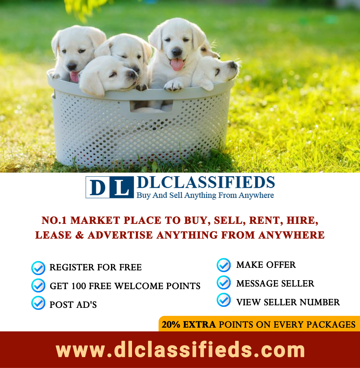 Buy or Sell Pets in Thingal Nagar