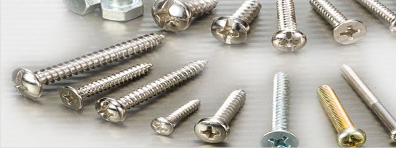 Screw manufacturer in india