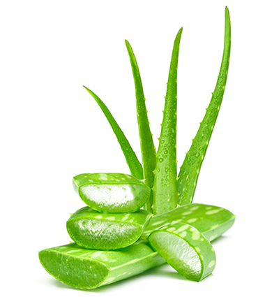 Global Aloe Extract Market Report, Latest Trends, Industry Opportunity & Forecast to 2028
