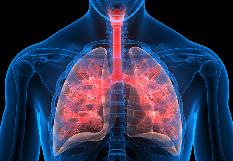 Global Infectious Respiratory Disease Diagnostics Market Report, Latest Trends, Industry Opportunity & Forecast to 2028