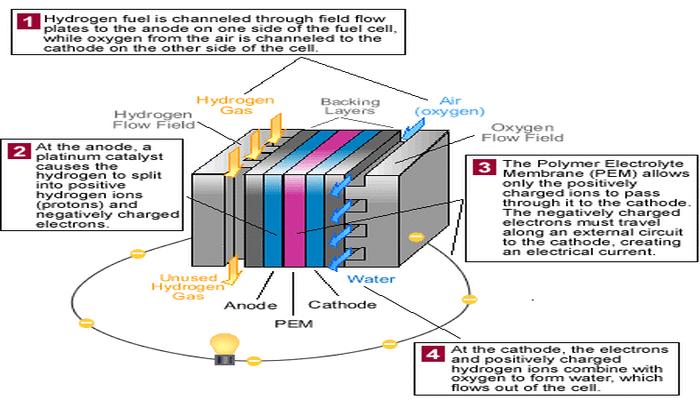 Fuel Cell Industry Outlook and Leaders