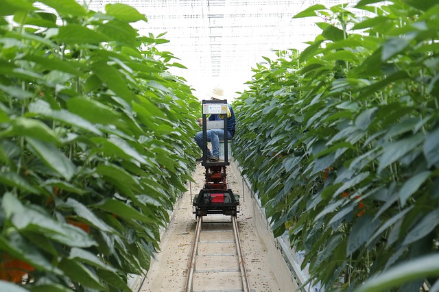 Smart Agriculture Market - Changing Preference of Consumers Toward Healthier and Fresh Foods