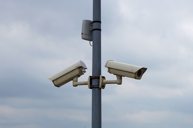 Top Video Surveillance Market Leaders and Trends