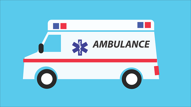 Ambulance Services Market - Size, Share, Growth and Statistics