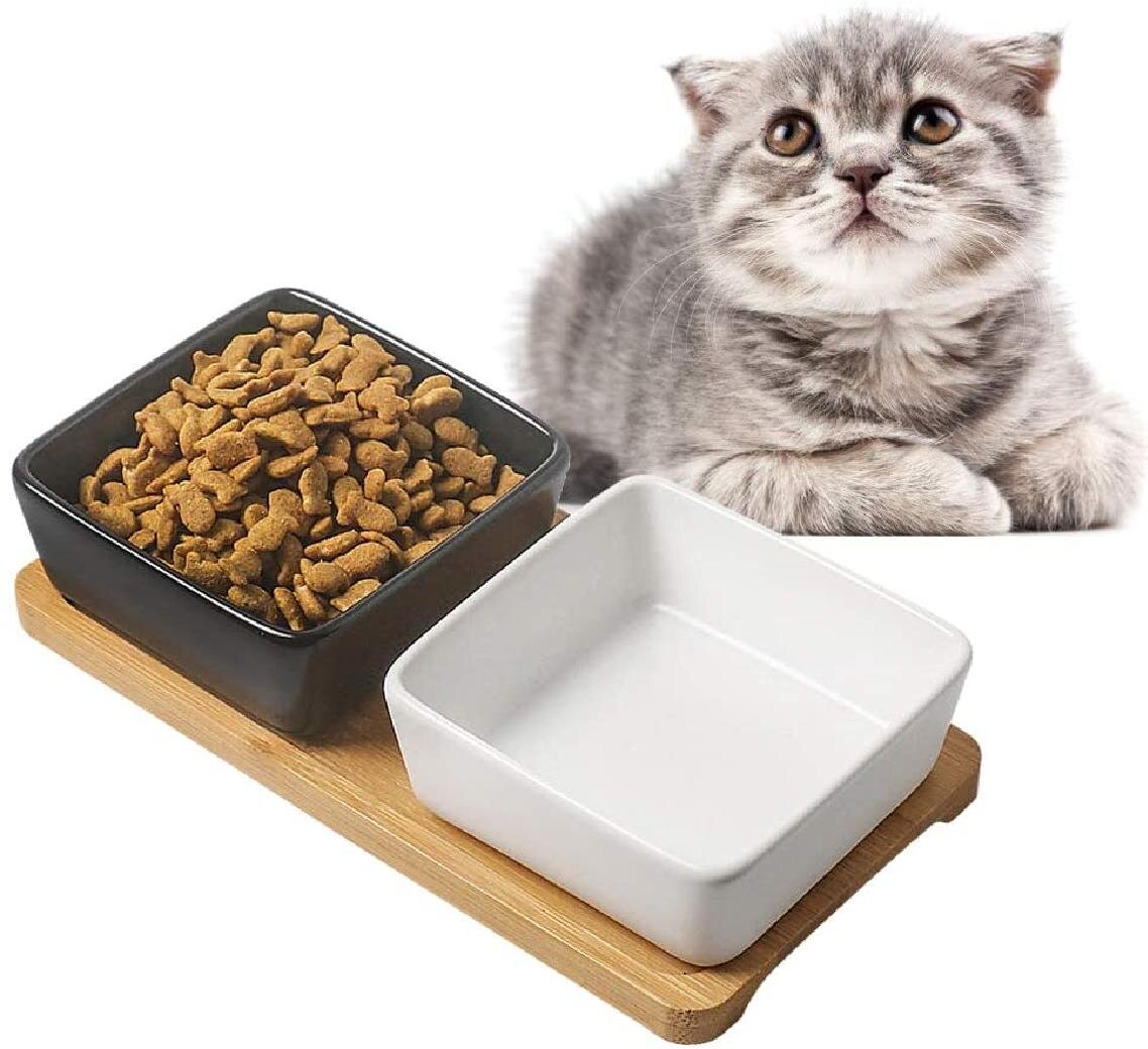 Pet Food Bowl Market 2021 Analysis Report by Recent Developments and Emerging Technologies Till 2027