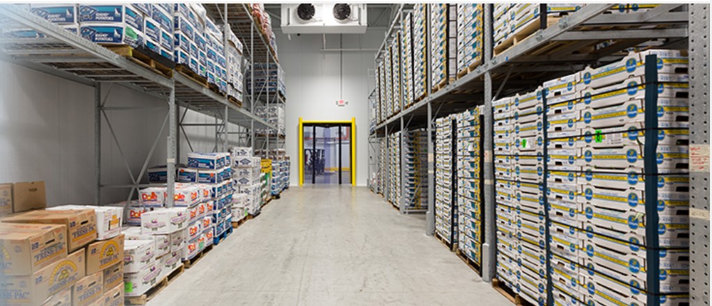 Cold room manufacturers in India - Kala Biotech