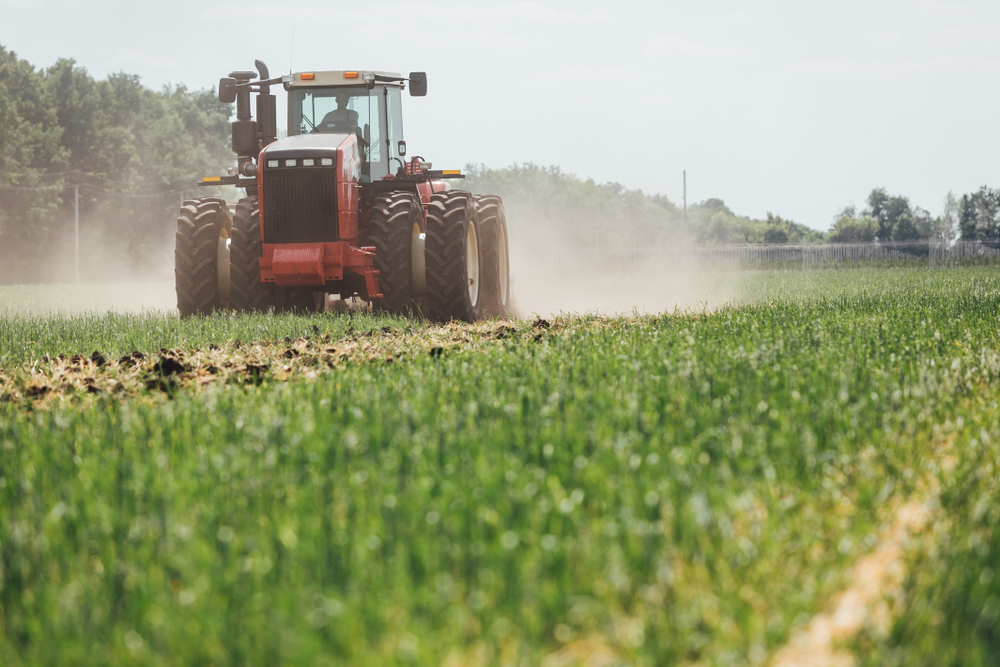 Find Tree and Stump Removal Services Auckland