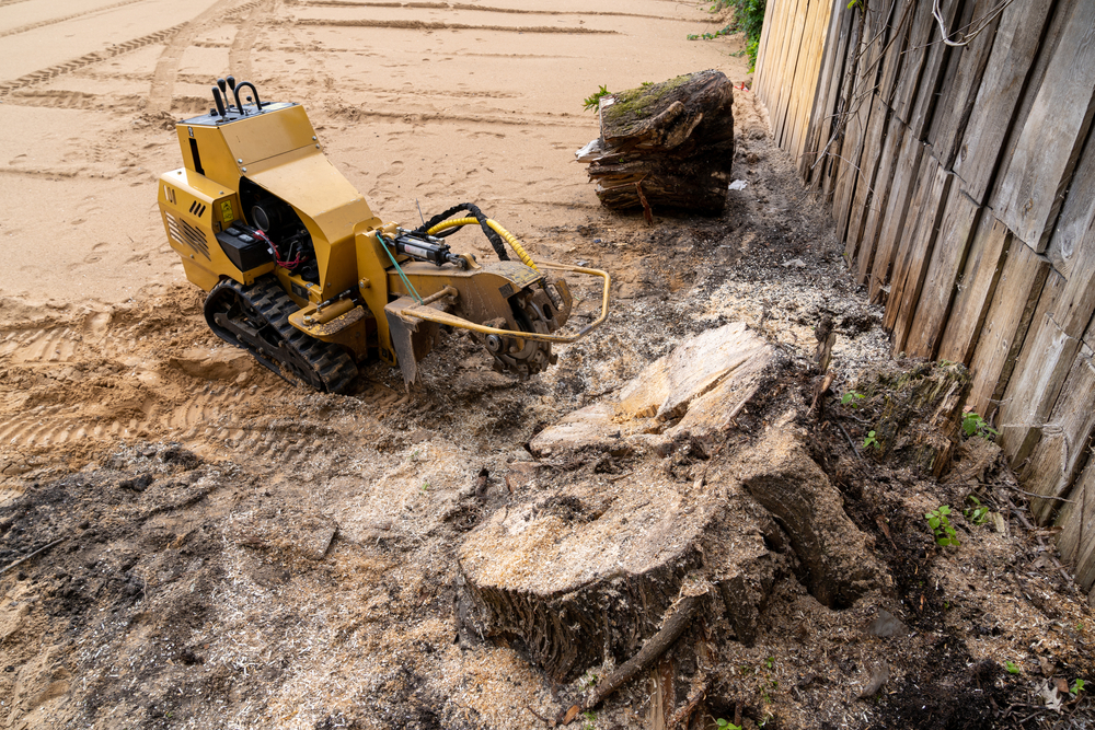 Searching For Stump Grinding in Auckland 