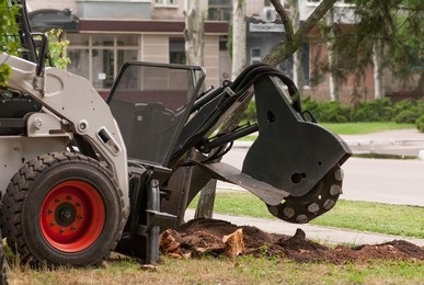 Forestry Mulching Contractors in Auckland