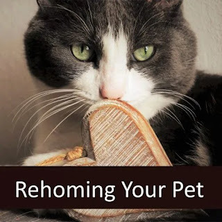 Choose us to get the best knowledge and pet adoption.