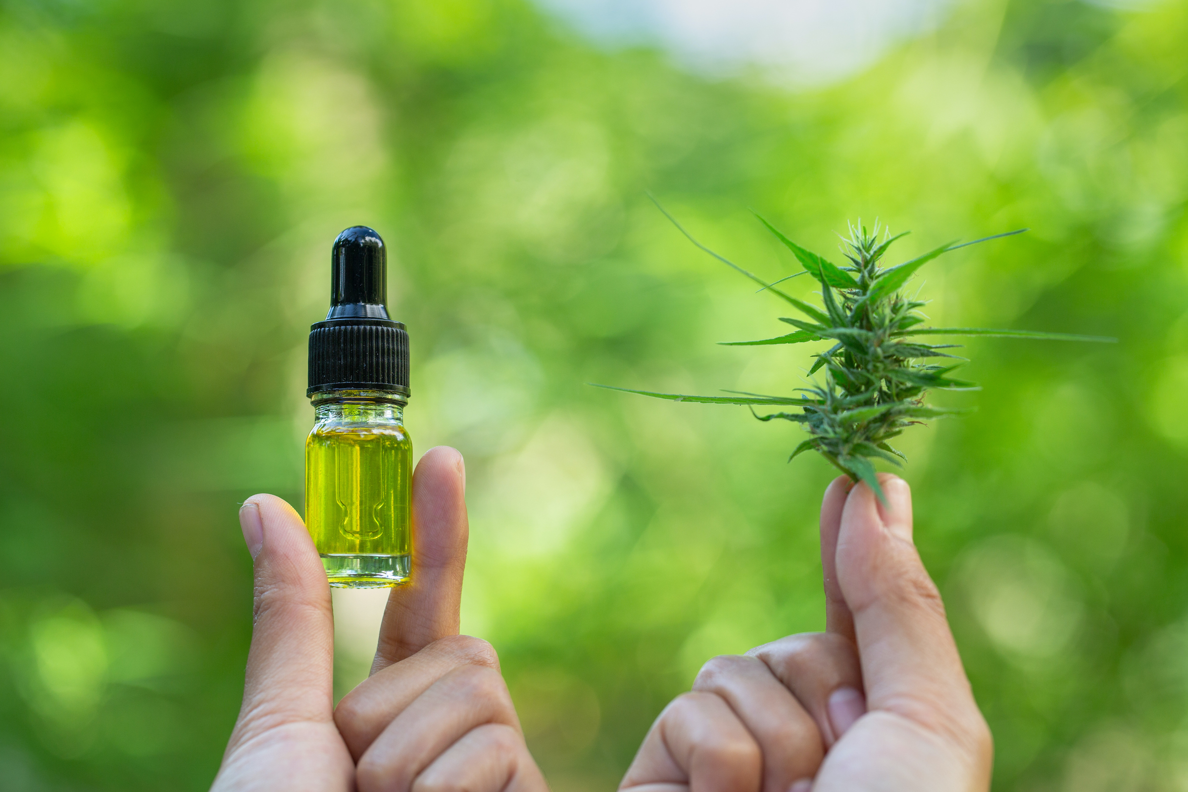 Answering Top Questions About CBD