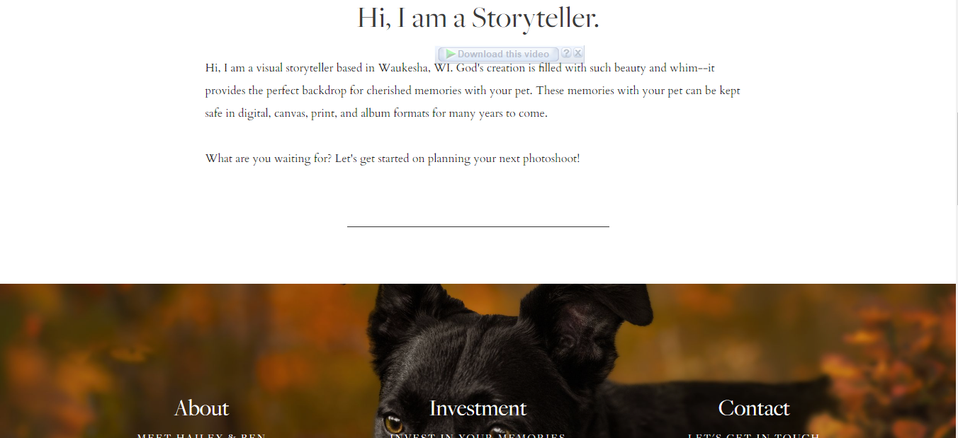  Most of the Tips Shown Associated with Pet Photography