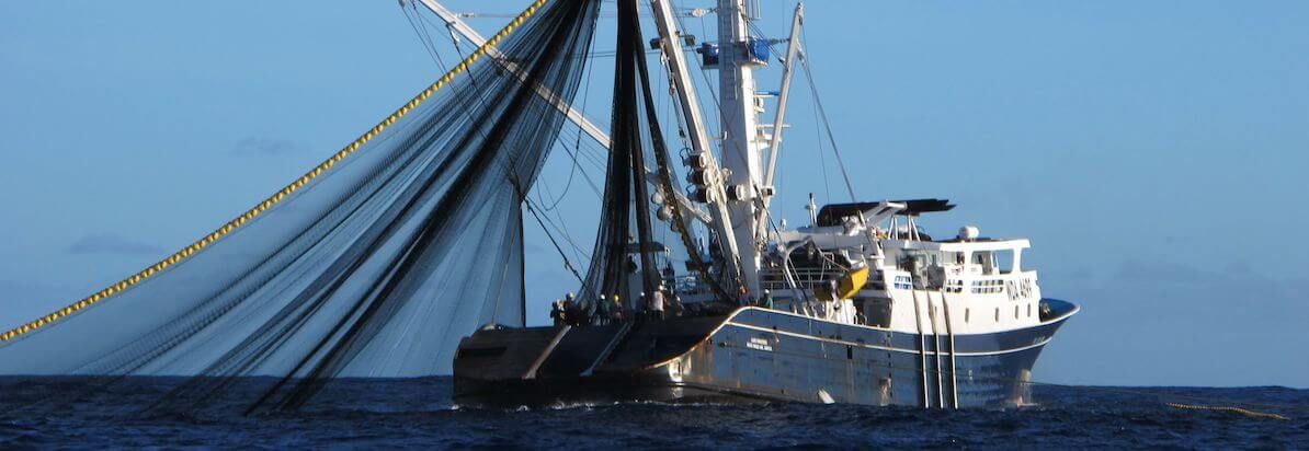 Tuna Fishing Vessels Market Demand Analysis, Statistics, Industry Trends And Investment Opportunities To 2028