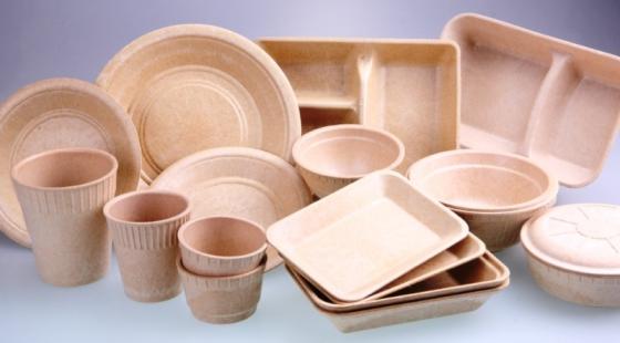 Report on Bagasse Disposable Cutlery Market Research 2027 - Value Market Research