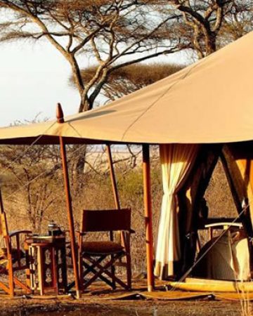 Get Masai Mara Safari Kenya