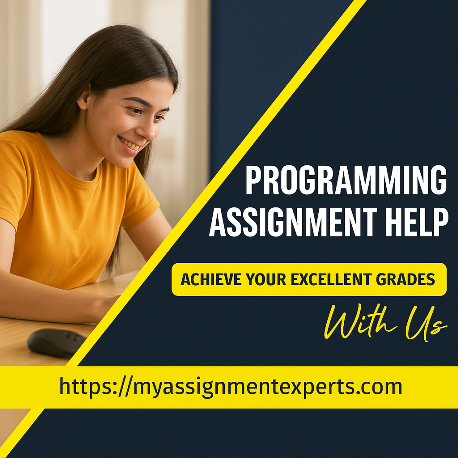 Professional Programming Assignment Help – Ace Your Coding Tasks Today