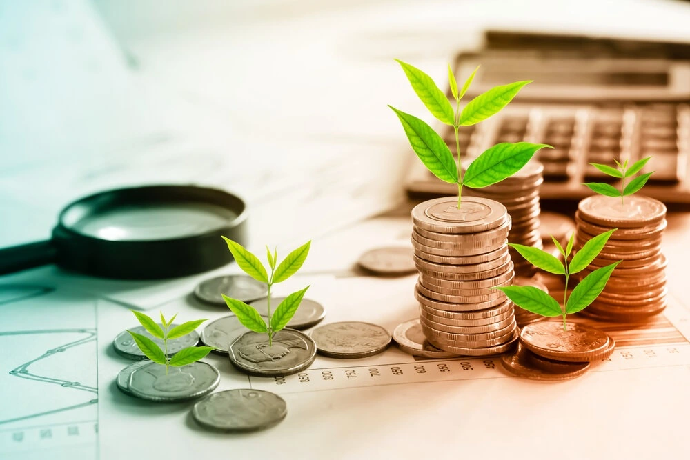 Curt Ranta – Why World Needs Both ESG and Impact Investing