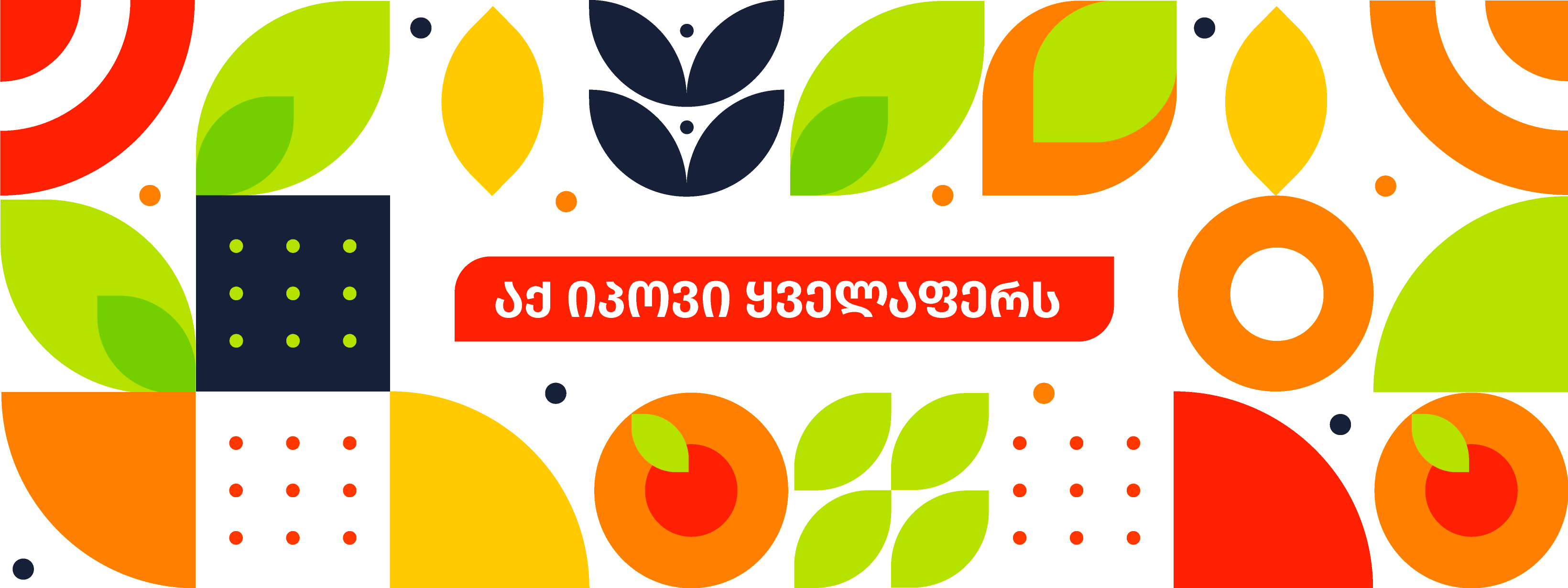 Citrus.ge - One of the biggest Georgian eCommerce platform 
