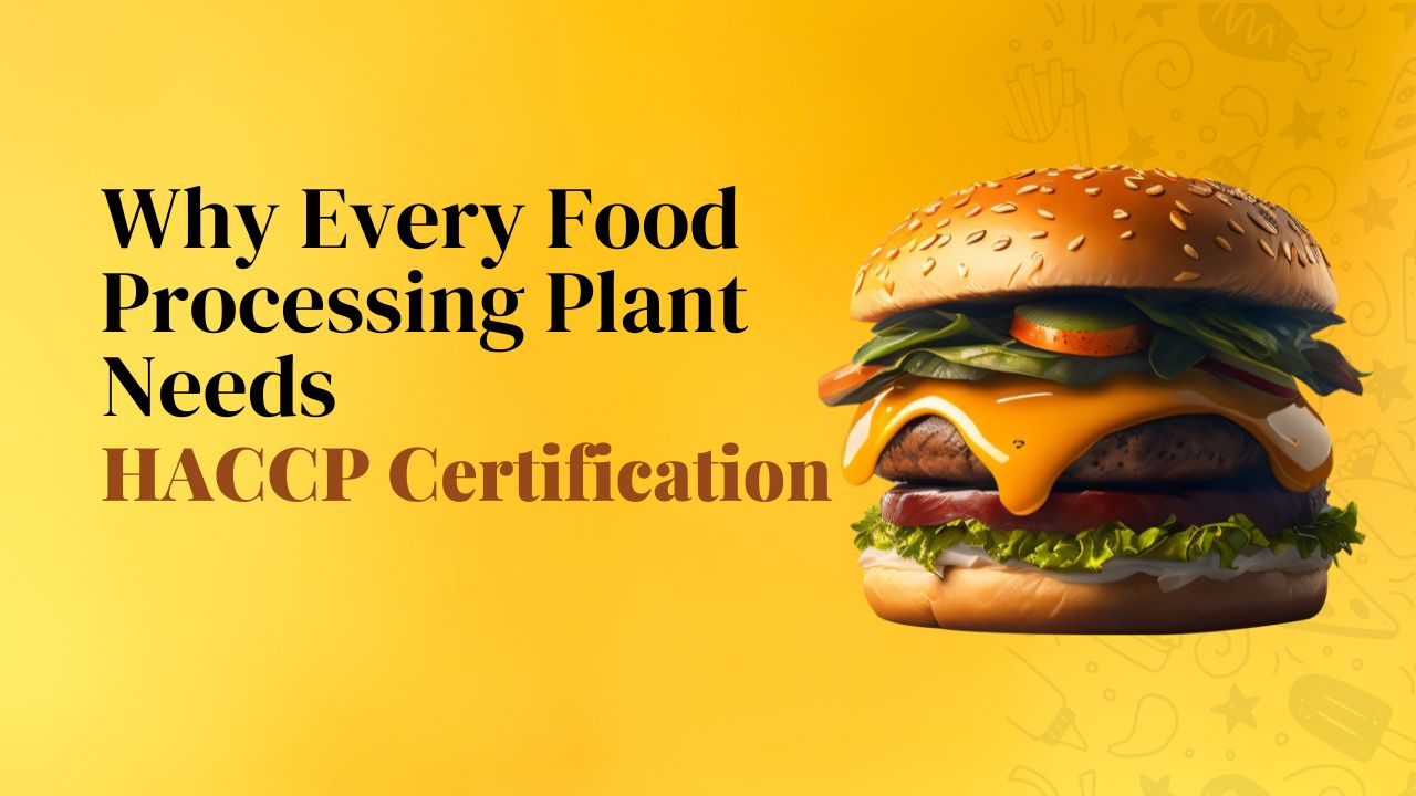 Why Every Food Processing Plant Needs HACCP Certification
